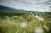 Client: Glencore  Location: Colombia